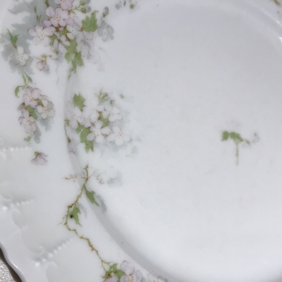 Antique Habsburg China Plate Made In Austria - Picture 2 of 10